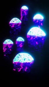 Autómatas Celulares 3 – Medusas